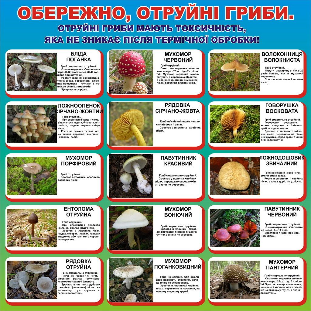© Трибуна - Бровари