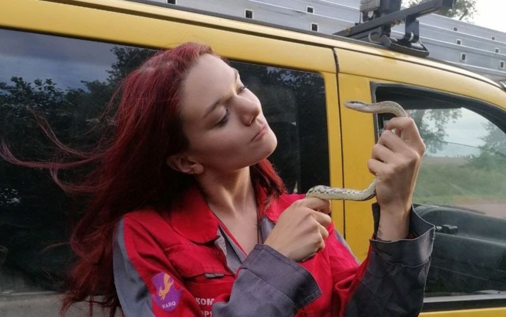 Мешканка Києва виявила змію у квартирі і викликала фахівців Служби порятунку тварин / © Facebook / Команда порятунку тварин міста Києва