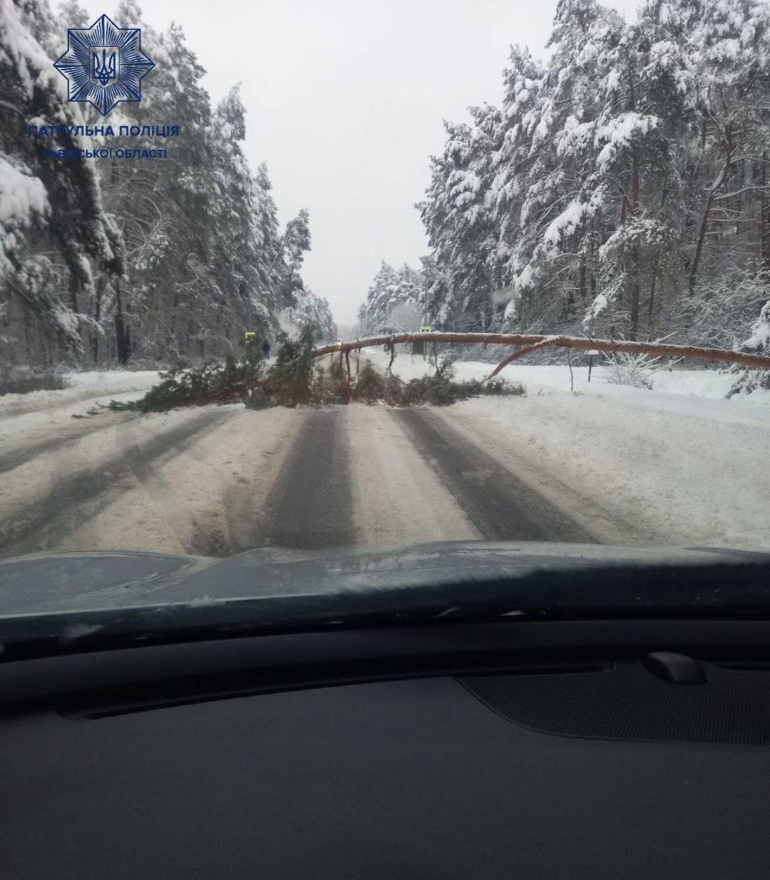 Патрульна поліція у Львівській області