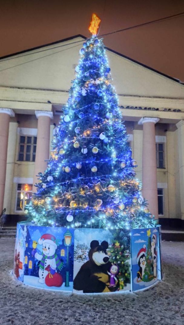 Декор новорічної ялинки на Київщині/ Фото: Ірина Федорів / © 